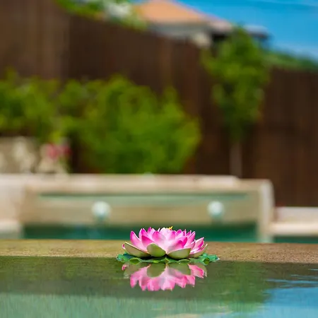 Fairytale Villa Apolpaina